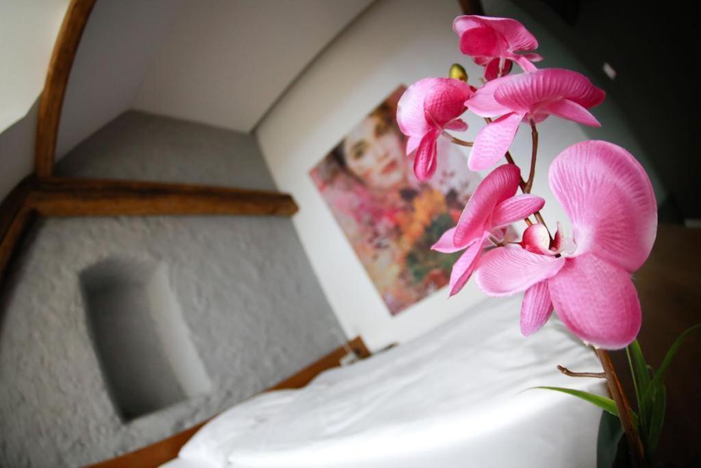 Appartement-Hotel Gh Zum Goldenen Schiff 엔스 외부 사진